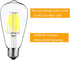 12V Edison Bulb 6W E26 12V LED Bulb Daylight 6000K 60W Equivalent, AC/DC 12V 24V 36V Low Voltage LED Light Bulb for RV Camper Marine, Off Grid Cab...