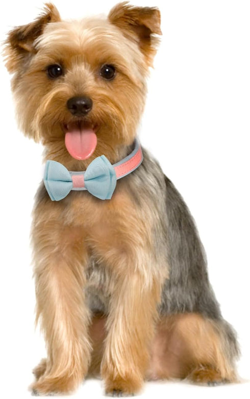 Dog Collar,Metal Buckle Pet Collar Suede Dog Collar Soft&Comfy Adjustable Pet Gift Collars with Bow for Small Medium Large Dogs (Small, Pink&Blue)...