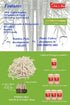 Gmark Bamboo Mini Forks 3.5 Inch 330pc - Bamboo Fruit Picks & Cocktail Forks for Appetizer, Dessert...