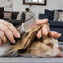 AIRY 7.5" Dog Grooming Scissors Cats Trimming Shears and steel comb set Professional Pets Scissor Kit for Left- and right-handed dual use Groomers...