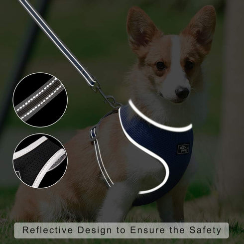 Puppy Harness and Leash Set - Dog Vest Harness for Small Dogs Medium Dogs- Adjustable Reflective Step in Harness for Dogs, Cats - Soft Mesh Comfor...