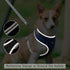 Puppy Harness and Leash Set - Dog Vest Harness for Small Dogs Medium Dogs- Adjustable Reflective Step in Harness for Dogs, Cats - Soft Mesh Comfor...