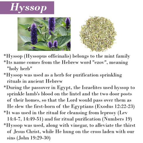 Cleanse Me with Hyssop and I Shall Be Clean Hyssop Natural Soap Bar -1 Soap Bar (Lavender & Bergamot)...