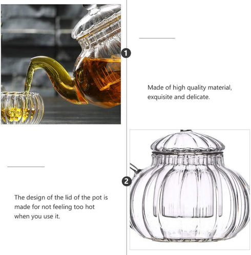 Glass Teapot with Infuser, Stovetop Safe Tea Kettle, Blooming and Loose Leaf Tea Maker...