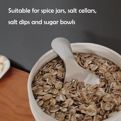 Stainless Steel Mini Spoons for Desserts Metal Small Cute Spoons for Ice Scream Coffee Sugar Spoon Salt Jam Honey Mustard Spoons Fit in Jar Spices...