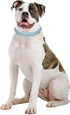 Spiked Dog Collar Soft Pu Leather Mushrooms Rivet Spike Studded Puppy Adjustable Cat Collars Light Blue XL...