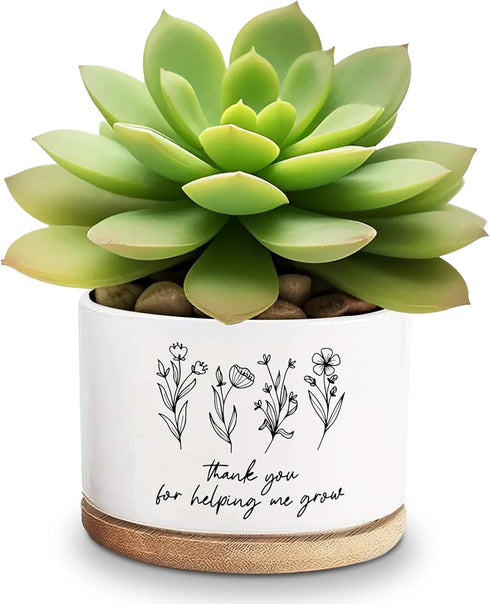 Thank You for Helping Me Grow Ceramic Succulent Funny Planter Pots for Plant Lovers Teacher Birthday Christmas Thanksgiving Gift, 3.6 Inch (Plant ...