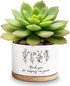 Thank You for Helping Me Grow Ceramic Succulent Funny Planter Pots for Plant Lovers Teacher Birthday Christmas Thanksgiving Gift, 3.6 Inch (Plant ...