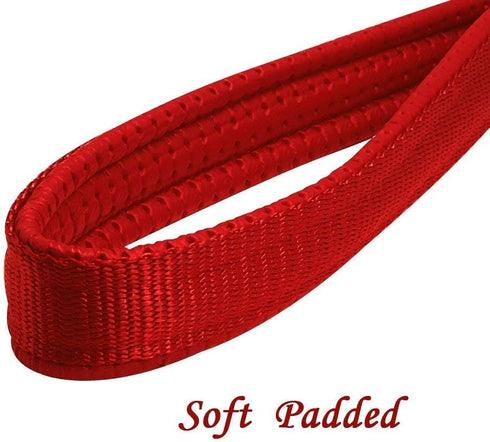 Beirui Premium 6 Foot Chain Heavy Duty Dog Leash - Soft Padded Foam Handle Lead - Perfect Basic Leashes for Large & Medium Size Pets Walking,Traff...