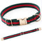 Premium Dog Collar, Cute Dog Collars Luxury Style, Durable Pet Collars with Metal Buckle Safety for Big Dogs...