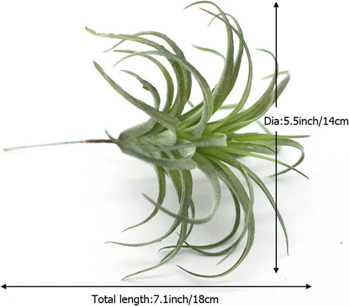 2PCS Artificial Flocking Tillandsia Air Plants Faux Succulents Bromeliads for Indoor/Outdoor Garden and Home Decor, Terrarium Decorations, Arrange...