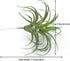 2PCS Artificial Flocking Tillandsia Air Plants Faux Succulents Bromeliads for Indoor/Outdoor Garden and Home Decor, Terrarium Decorations, Arrange...