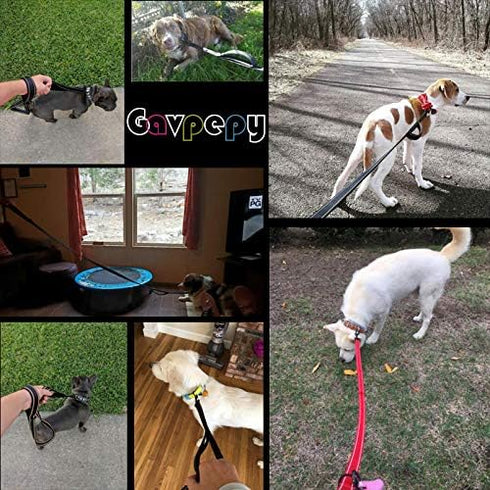 3M Reflective Dog Leash 5ft Long with Traffic Padded Handle, Dog Training Leash Heavy Duty,Double Handle Lead for Large or Medium Dog Black...