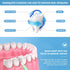 60PCS Floss Brush Adult Interdental Brush Push-Pull Type Tooth Cleaning Tool Soft Toothpick Cleaners Oral Dental Hygiene Brush Tooth Flossing Head...