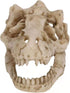 2Pcs Aquarium Decoration Small Resin Dinosaur Skull Skeleton Fish Tank Aquarium Aquarium Cave Pet Reptile House Decoration...