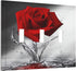 Rose 3 Gang Triple Toggle Light Switch Wall Plate Cover Romantic Floral Blossom Red Rose Reflection on Water Decorative Electrical Faceplate Black...