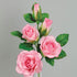 Flower Pro Five Petal Rose Cutters (Set of 3) for Cake Decorating - by Katy Sue Green...