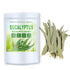 Whole Eucalyptus Leaves, Natural Eucalyptus Herb Leaves, 114g (4.0 oz)...