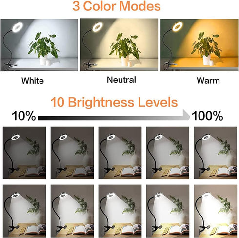 Clip on Light LED Reading Book Study Lamp 3 Color Modes 10 Brightness Eye Protection 360° Flexible Gooseneck Student Dormitory Office Desk Lamp at...
