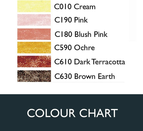 Derwent Colored Pencils, ColourSoft Pencils, Skintone, Drawing, Art, Metal Tin, 6 Count (2300217)...
