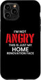 iPhone 11 Pro Im Not Angry This Is Just My Home Renovation Face Case...
