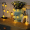 Merdeco Pineapple String Lights, 10ft 20 LED Plug in String Lights Warm White Fairy Lights for Birthday Party Wedding Home Indoor Outdoor Decorati...