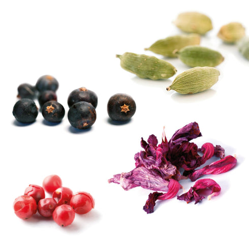 Gin and Tonic 4 Spices Kit Gin Flavoring Spices Carmencita Gin Botanicals...