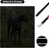 Short Dog Leash with Padded Handle, Double Webbing Nylon Reflective Pet Leashes Pet Leash for Walking Training (Black)...