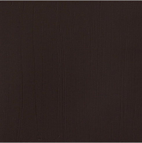 Winsor & Newton Professional Acrylic Paint, 200ml (6.75-oz) Tube, Burnt Umber...