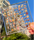 Seashell Display Box, Acrylic Magnetic Seashell Display Box, 36/64 Grid Display Cases for Collectibles, DIY Transparent Seashell Storage Box Displ...