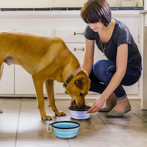 Kytely Collapsible Dog Bowls Large (1000ml), 2Pack Foldable Dog Travel Bowls, Portable Dog Water Food Bowl with Clasp (Lavender+Sky Blue)...