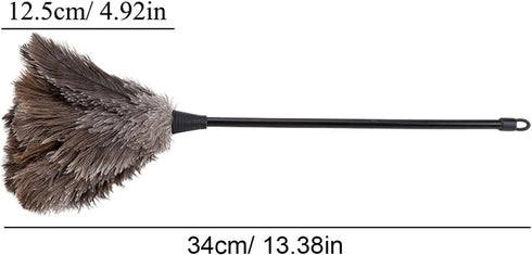 Ostrich Duster, Large Mini Hand Made Washable Supplies for Books Keyboard Office Home...