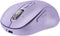 L570 Wireless Bluetooth Mouse, Portable Rechargeable Mouse with Charging Cable, USB Receiver and Two Bluetooth, 4-Way Scrollig for MacBook Air/Pro...