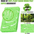 EZ Clean Eco Friendly Cellulose Sponge...