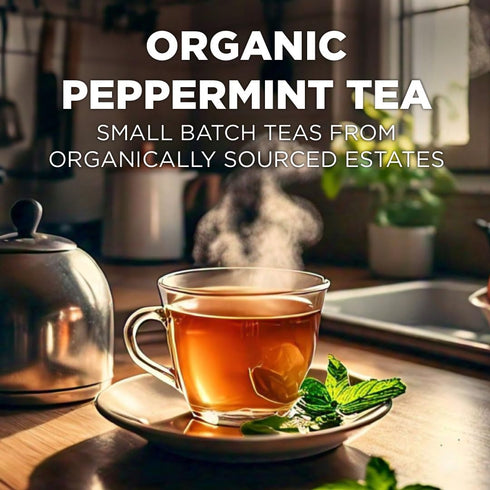 Maud's Organic Peppermint Tea Pods, 24 ct, Recyclable Single Serve Pods – 100% Gourmet Blended Tea Leaves, Compatible with Keurig K Cups Maker...