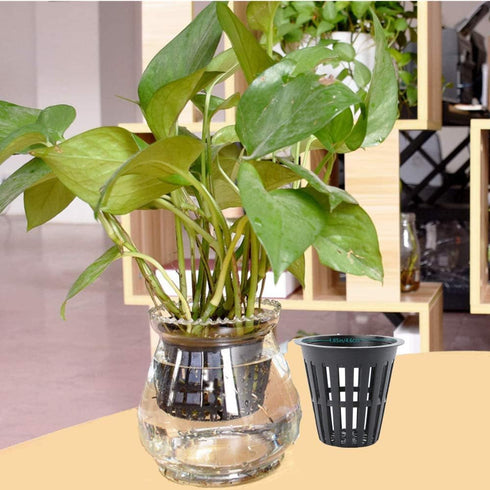 100PCS 2 Inch Garden Slotted Mesh Net Cups, Round Heavy Duty Net Cups Pots for, Hydroponics Slotted Mesh…...