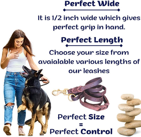 Leather Dog Leash, Strong Heavy Duty Genuine Leather Braided Dog Training Leash, Soft and Comfortable Leather Leash for Large Dogs, Medium Small D...