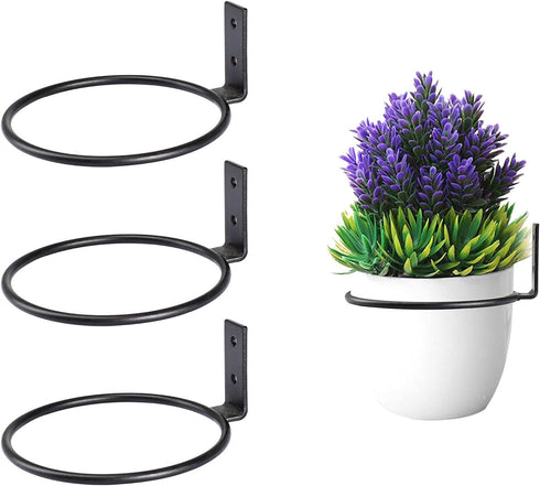 TreeLen Flower Plant Holder Ring Wall Mounted,4 Inch Plant Wall Hanger Rings,Metal Plant Holders Wall Planter Hook 3 Pack Black...