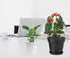 Small Plant Pots Plastic Planters with Tray and Drainage Holes for Indoor Outdoor Plants Succulent and Flowers Modern Home Decoration Gift Idea 9 ...