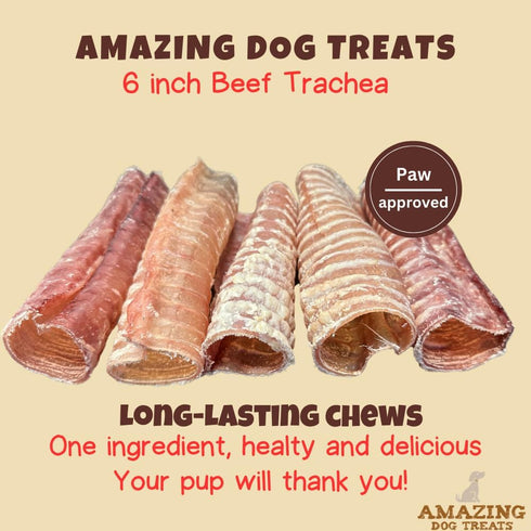 Amazing Dog Treats - 6 Inch Beef Trachea Dog Chews (5 pcs - 8 oz) - Trachea Dog Treats - NO Hide - Digestible and Safe Chews for Dogs - Glucosamin...