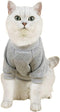 Cat Sweaters Shirts for Cats - Hairless Cat Cotton Tshirts Pet Clothes - Pullover Kitten T-Shirts with Sleeves - Cats & Small Dogs Apparel (Light ...