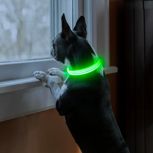 Light Up Dog Collars Rechargeable, Reflective LED Glow Dark Dog Collar for Small Medium Large Dogs, Adjustable Pet Dog Lights for Safe Night Walk-...
