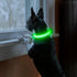 Light Up Dog Collars Rechargeable, Reflective LED Glow Dark Dog Collar for Small Medium Large Dogs, Adjustable Pet Dog Lights for Safe Night Walk-...