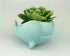 VanEnjoy 5" Ceramic Succulent Pot, Cute Ocean Blue Seashell Series, Conch Shaped Cactus Pot Planter, Flower Pot, Pottery Bonsai Pot (Whale)...
