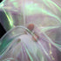 3 Yard Magic Rainbow Laser Gradient Organza Lace Fabric,Iridescent Holographic Gauze Fabric for Wedding Dress,Curtain,Photography Background,Party...