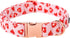 Lionet Paws Valentine Day Dog Collar, Heavy-Duty Cute Red Heart pattern Collar with Metal Buckle Pet Necklace for Large Dog Gift, XLarge, Neck 16-...