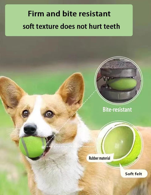 6 Pcs Dog Chew Toys Interactive Dog Toys Interactive Tennis The Rubber Material is Full of Elasticity Suitable for Small and Medium Sized Dogs...