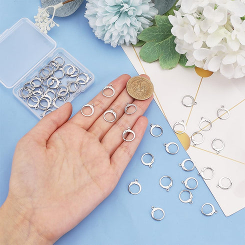 PH PandaHall 50 Pcs 304 Stainless Steel Lever Back Earring Hooks Earwire with Open Loop 14.5x12x2mm for Jewelry Making...