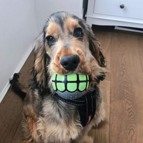 Dog Balls Toys Squeaky Fetch - Rubber Funny Ball Gifts for Large Medium Dogs (Variety Pack)...