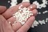 Stars 700 Pk, Heart Shape 350 Pk, Micro Glow in The Dark Polymer Clay - Mini Semi-Flexible Star for Miniature Craft, Memorial, Labor Day, July 4th...
